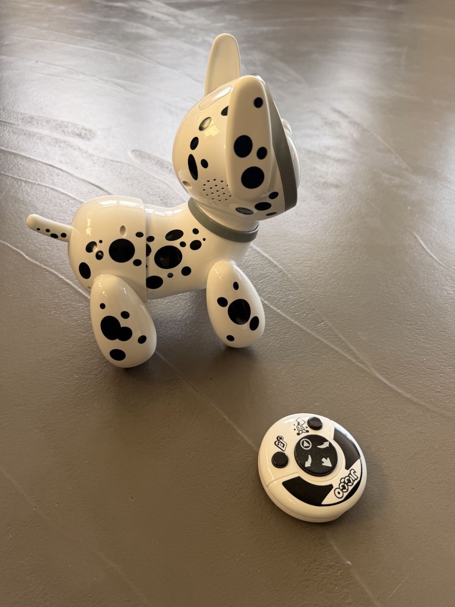 Giocattoli: Jiggo Roboter Hund Dalmatiner YCOO – Usato da Teufen AR venduto da florianreiser 1