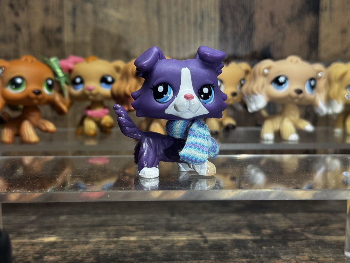 Hasbro Spielzeuge: Littlest pet shop Collie – Gebraucht aus Luzern von Maja.C