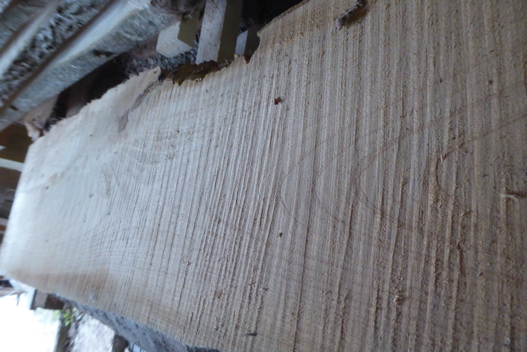 Holzartikel: Kirschbaumbrett 40 mm – Neu (gemäss Beschreibung) aus Sumiswald von Hennri1 1