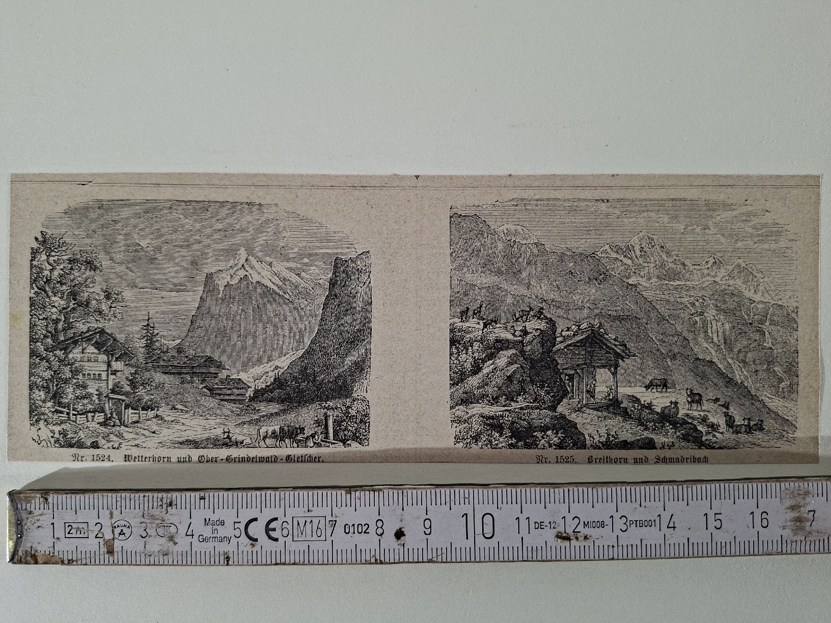 Incisioni: Lot  69 , 10 Stiche  – Usato da Grindelwald venduto da carro5