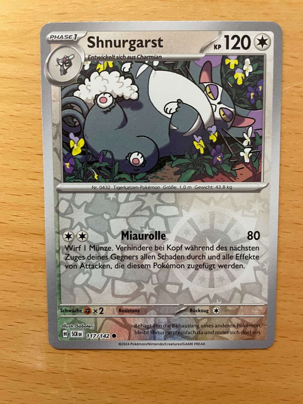 Pokémon Carte collezionabili: Pokemon Shnurgarst Reverse (Versand gratis) – Nuovo (secondo la descrizione) da Chur venduto da Angerson