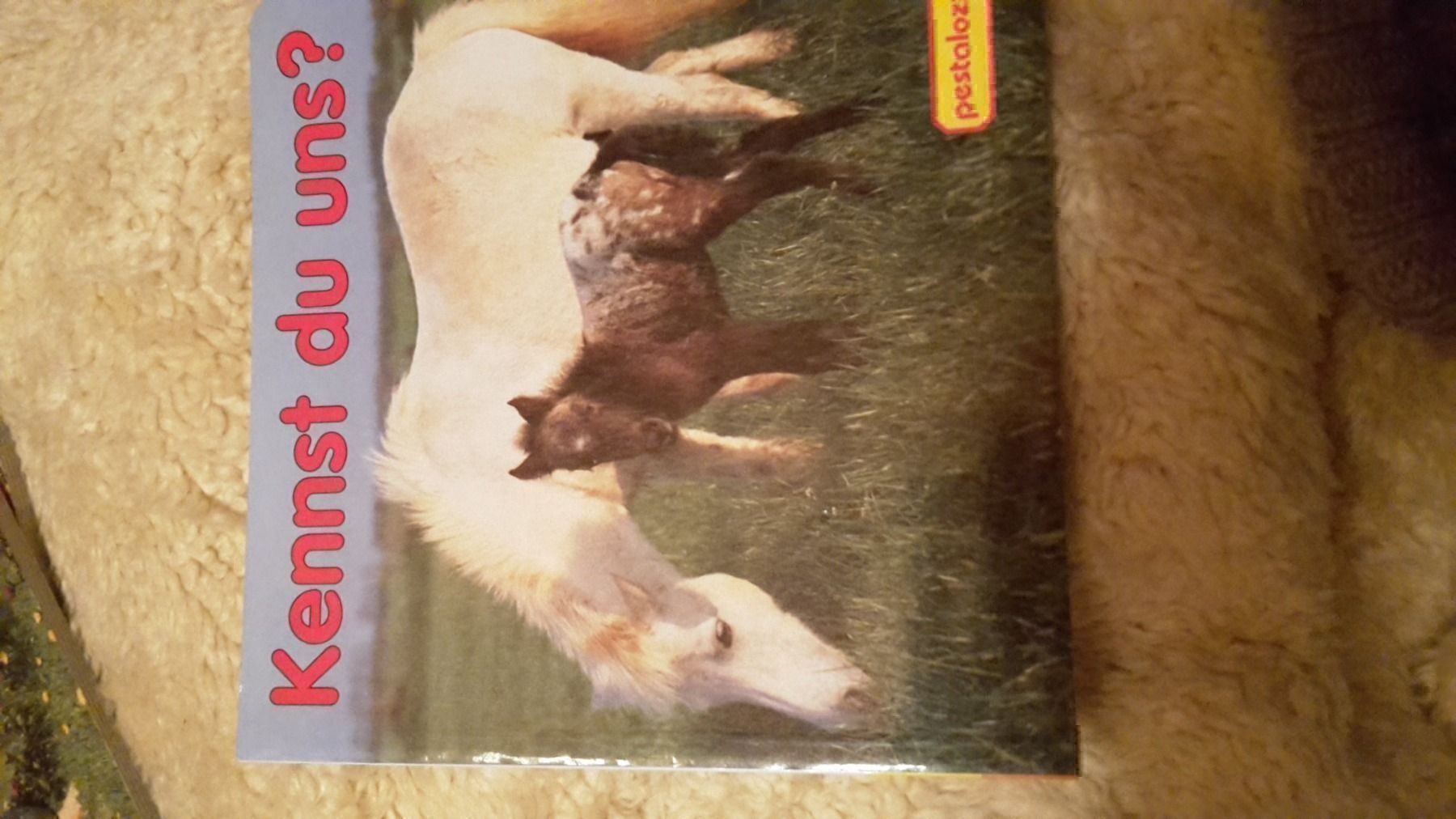 Libri: Buch kennst Du uns – Nuovo (secondo la descrizione) da Schwarzenburg venduto da Flamingo07