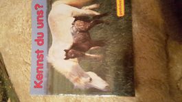 Buch kennst Du uns