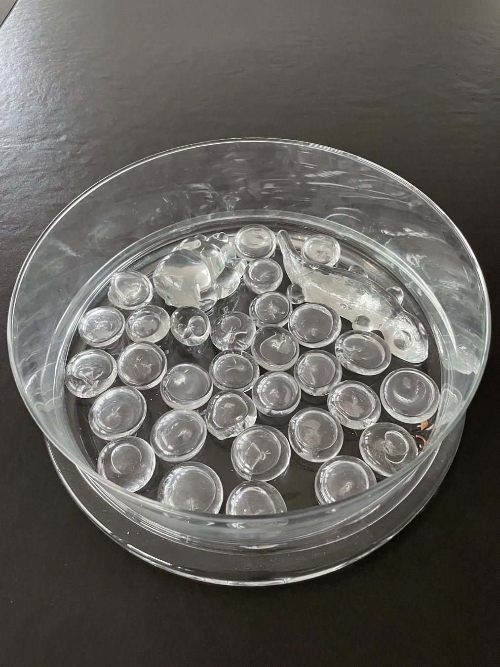 Tutte le decorazioni: Dekorschale aus Glas – Nuovo (secondo la descrizione) da Klingnau venduto da Quasimondo