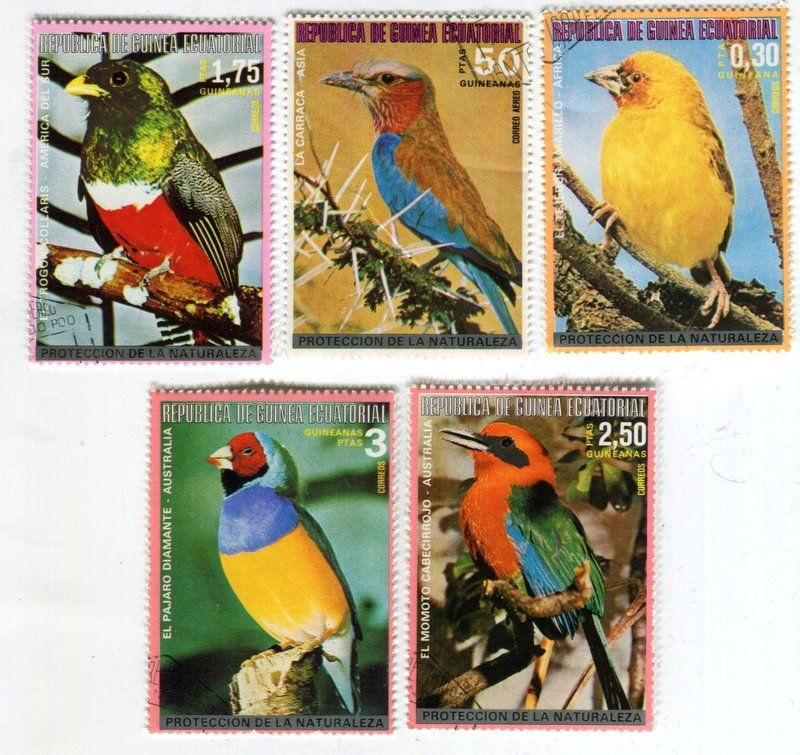 Tutti i francobolli: Briefmarken "Vögel". Äquatorialguinea. – Nuovo e nell'imballaggio originale da Basel venduto da Butsch5