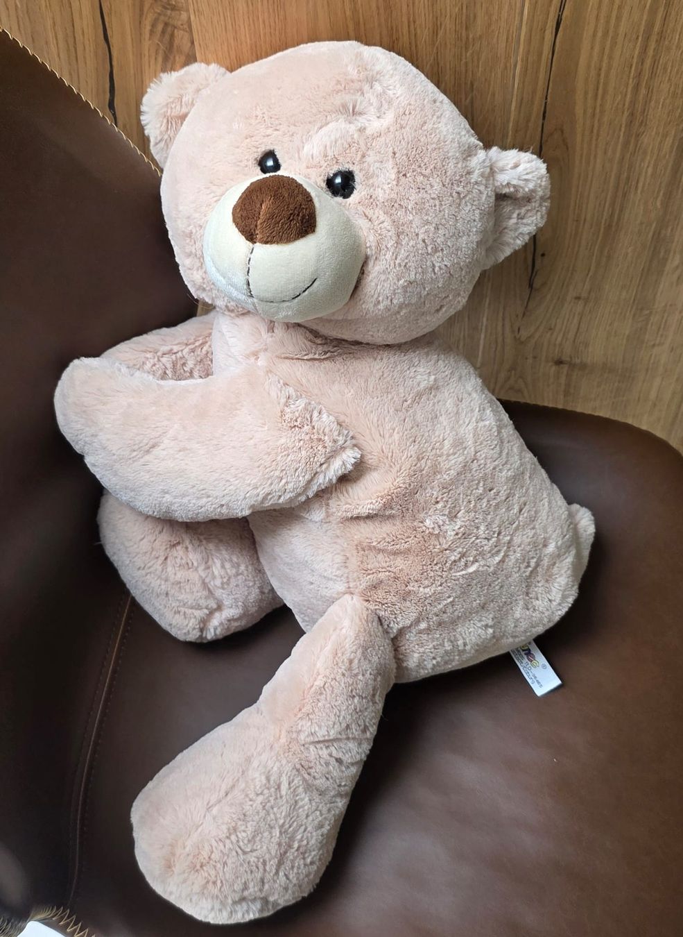 Steiff Spielzeuge: Steiff Teddybär rosa  – Neu (gemäss Beschreibung) aus Rheinsulz von Dred 3