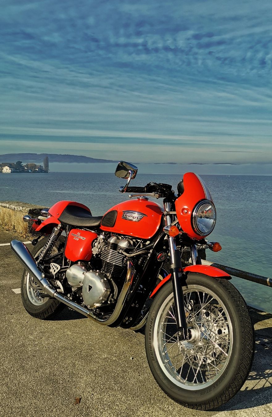 Triumph Altro: Triumph Thruxton 900 – Usato da Winterthur venduto da brdmnky 4