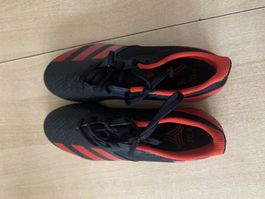 Adidas Predator 20.4 IN Sala Hallenschuhe Gr. 42
