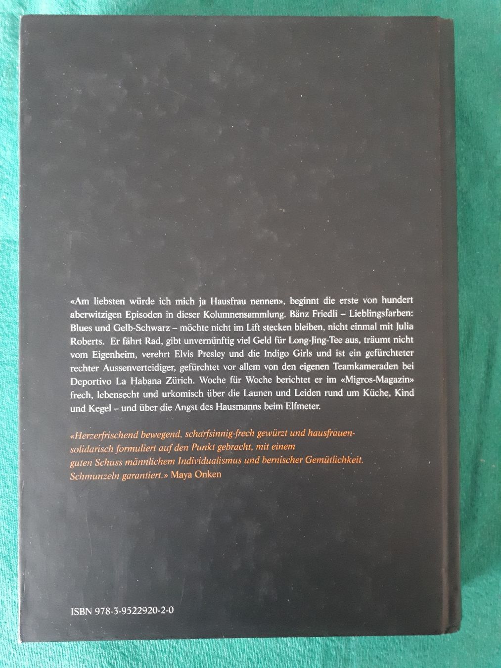 Libri: Bänz Friedli: Der Hausmann – Usato da Dietikon venduto da Buchantiqdietikon 1