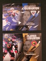 SC Bern HC Fribourg - Rathgeb, Scherwey - Board Crushers