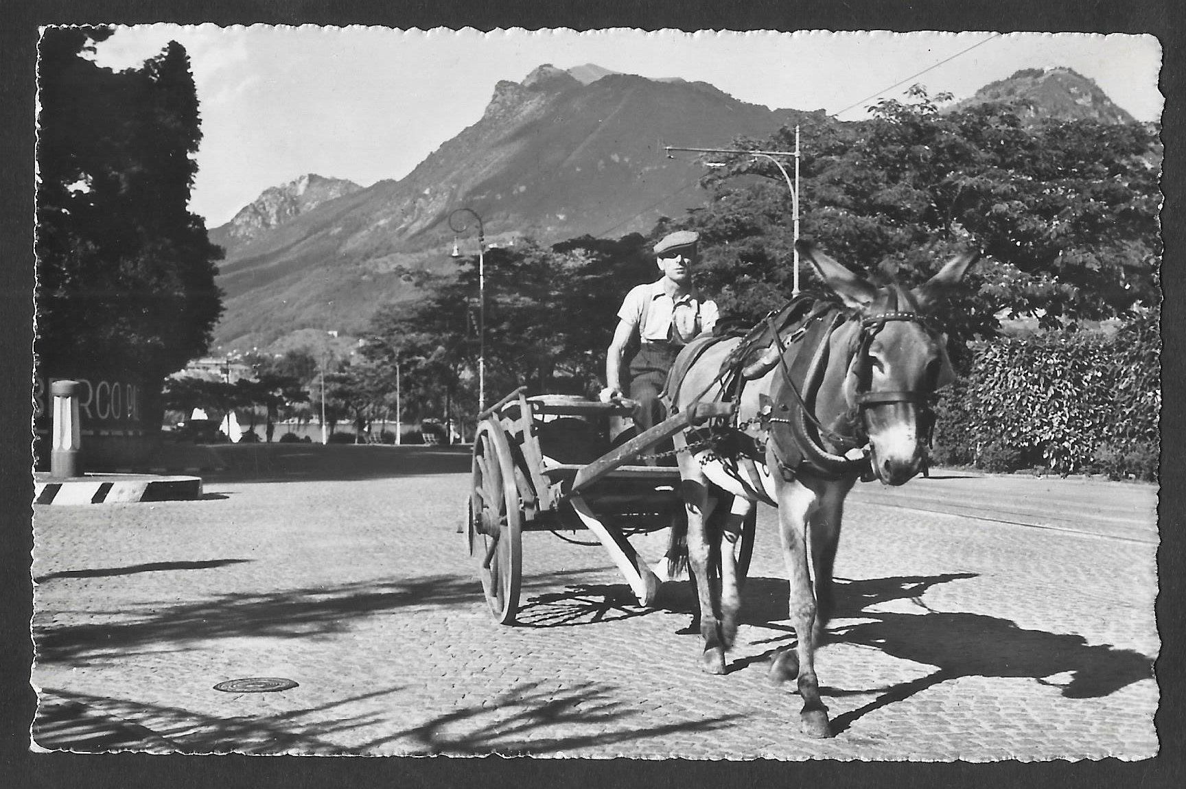Cartoline postali: Carretto ticinese Tornando dal mercato Feldpoststempel – Usato da Olten venduto da clotaldi