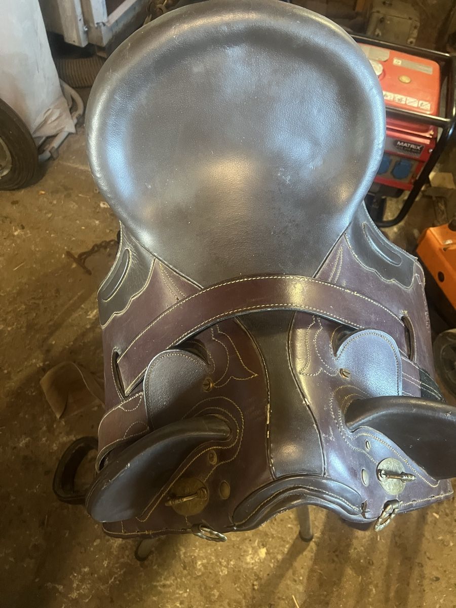 Selles, accessoires: Selle de monte western  – D'occasion à Bourrignon par filledemai 1