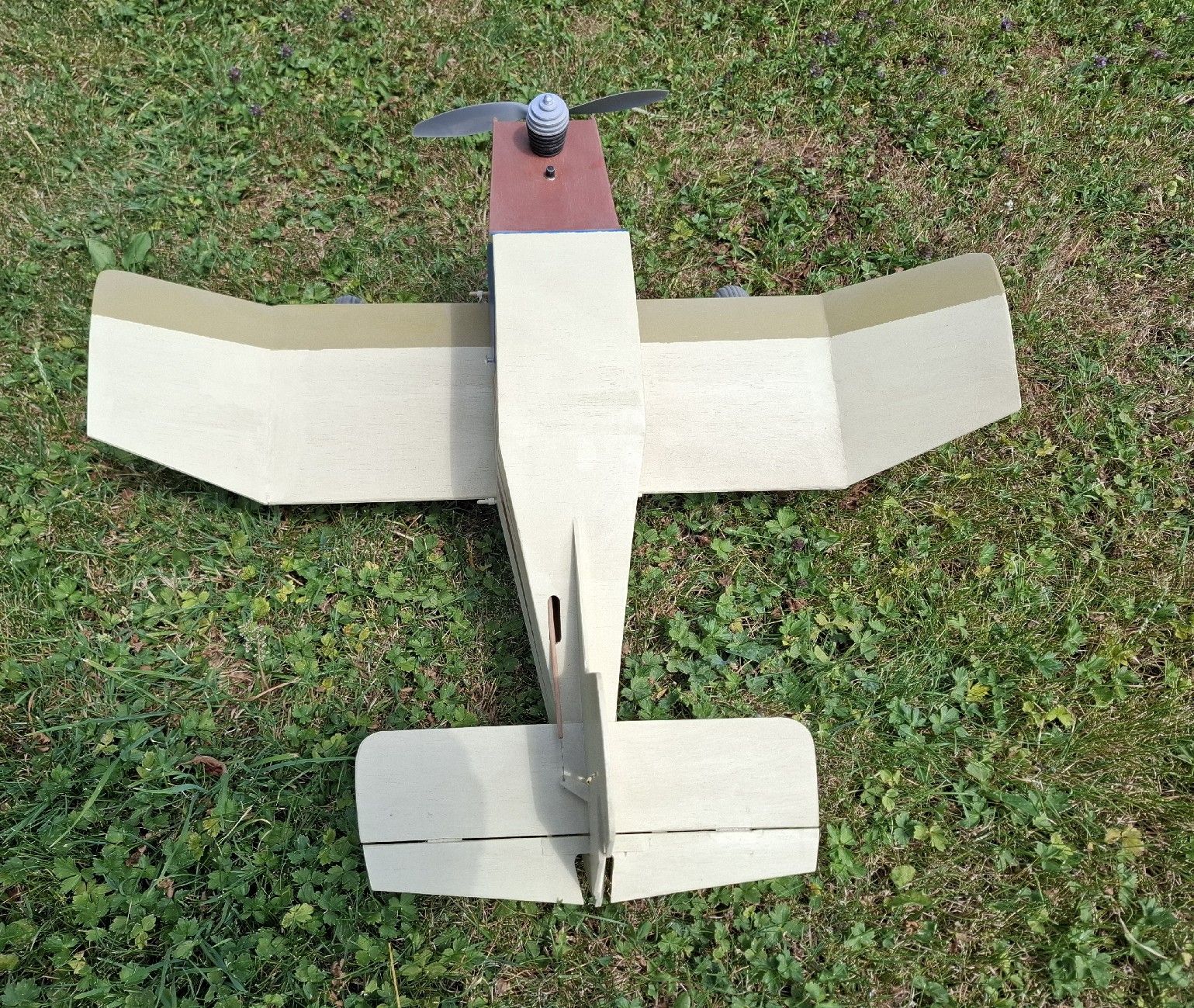 Modellismo RC: Phat Phil – Nuovo (secondo la descrizione) da Gunzwil venduto da Minor300 3