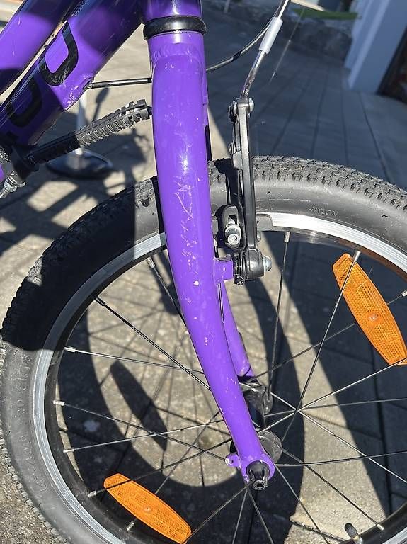 Vélos: Kindervelo Naloo Chamäleon 20" – D'occasion à Appenzell Steinegg par Coco2010 2