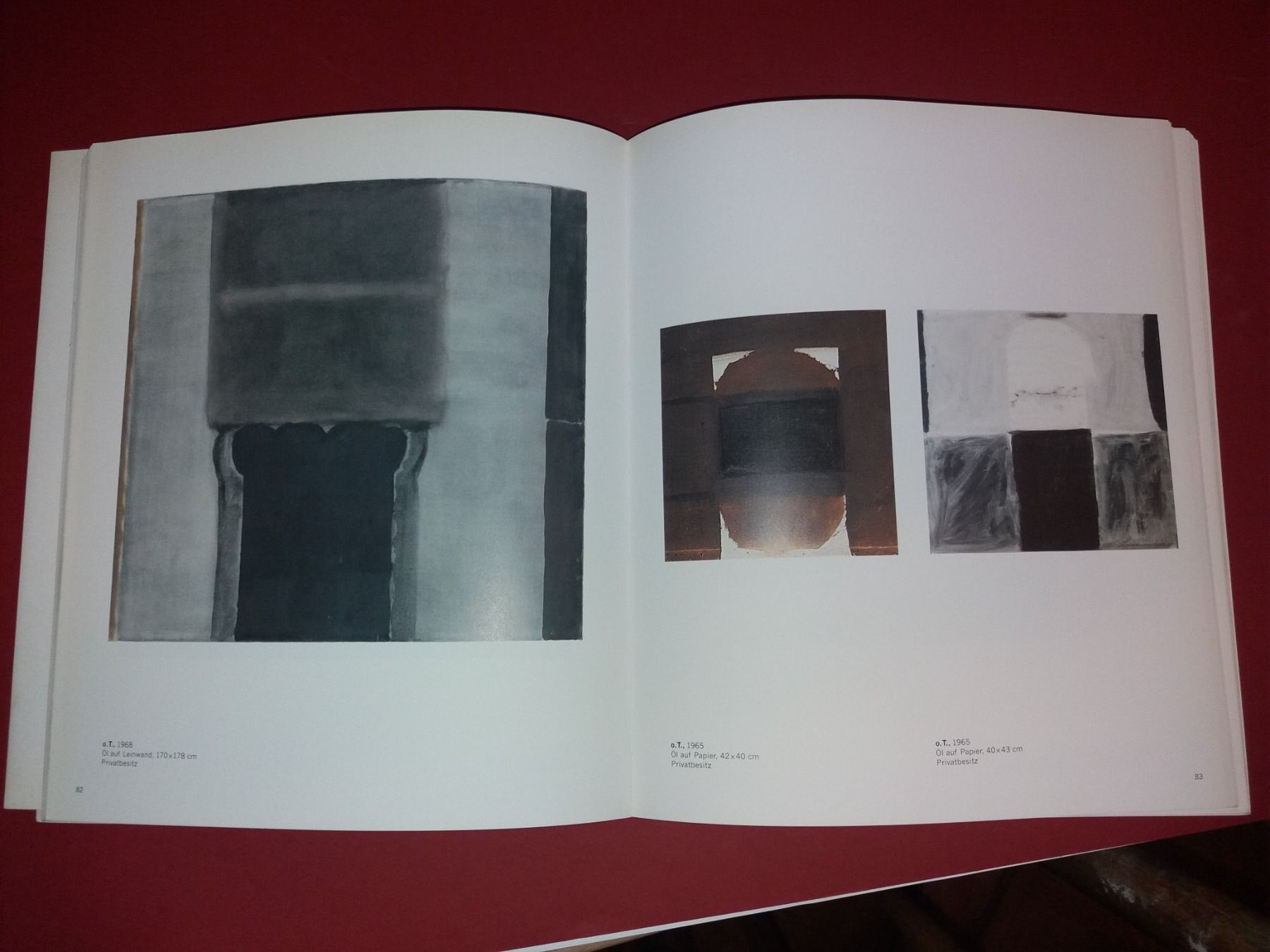 Libri: MATIAS Spescha – Usato da Welschenrohr venduto da Regool 3
