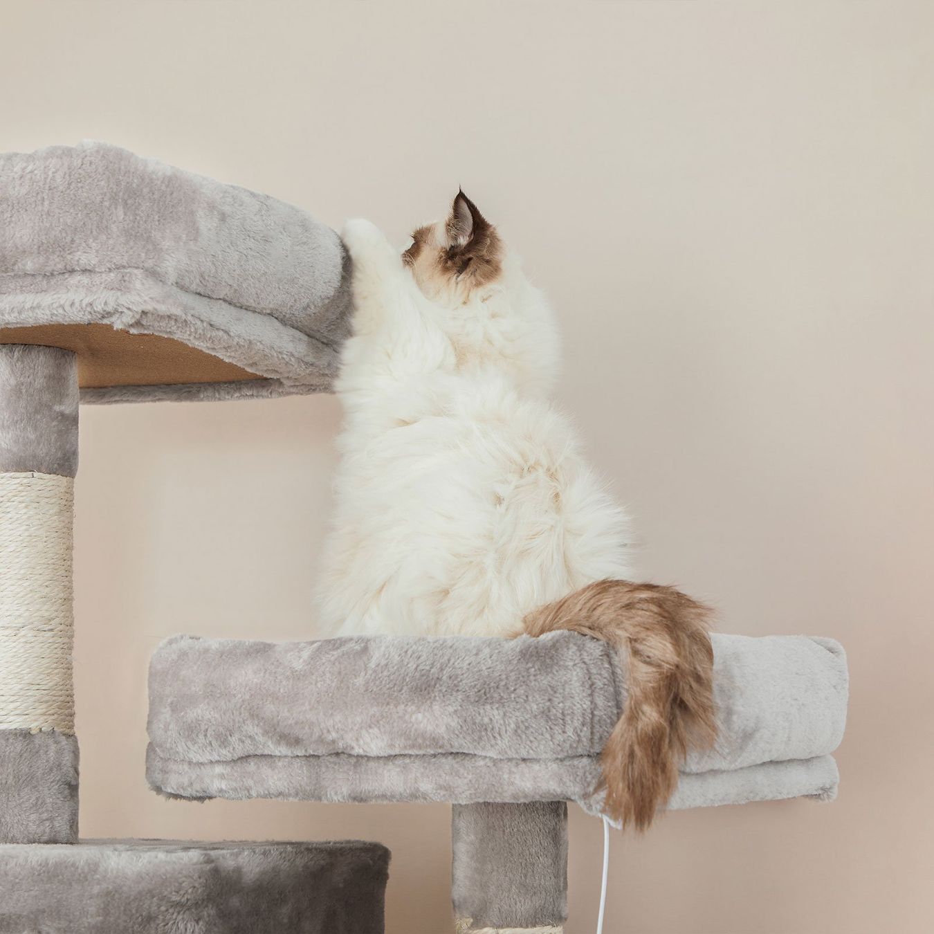 Tiragraffi: Kratzbaum XL Hoch Katzenbaum 206cm ARES – Nuovo (secondo la descrizione) da Lachen SZ venduto da MAMORU-MOEBEL 5