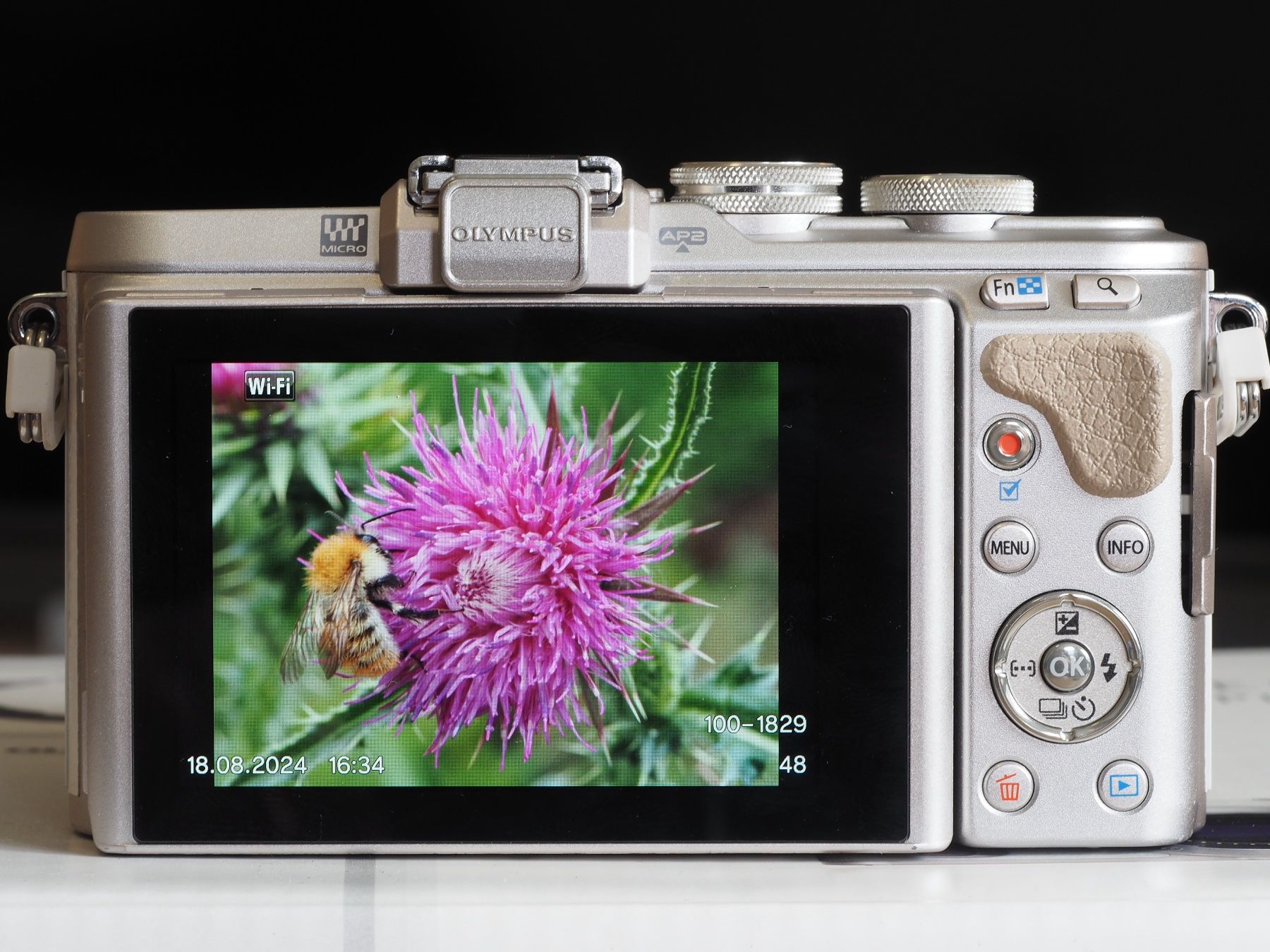 Olympus Fotocamera: Olympus PEN E-PL8 Kit – Usato da Sierre venduto da DMDefender 1