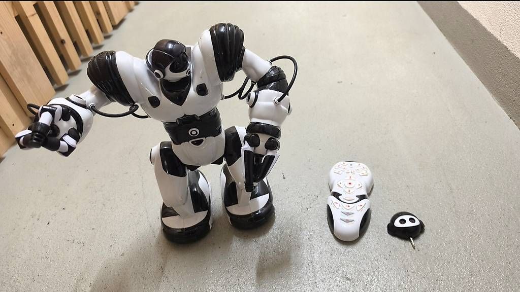 Giocattoli: WowWee Robosapiens / Gratisversand – Usato da Zürich venduto da Tornadorey