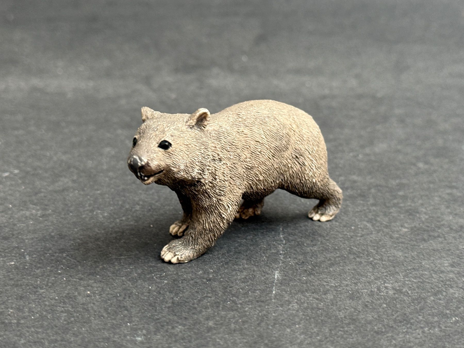 Schleich Statuette: Schleich 14834 Wombat – Usato da Ennetbaden venduto da mapa05