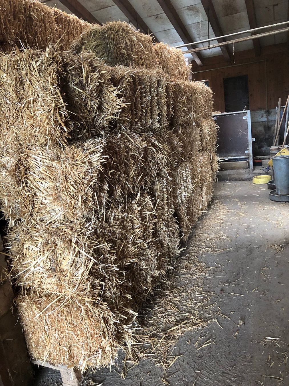 Nourriture: Stroh Kleinballen 72 Stk. – D'occasion à Rosshäusern par Cleaner 2
