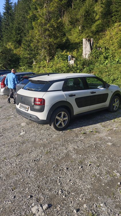 Citroën Automobili: CITROËN C4 CACTUS – Usato da Adelboden venduto da tia_6lsk 3