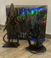 2 Aliens Hot Toys Xenomorph 1/6 Braun & Blau