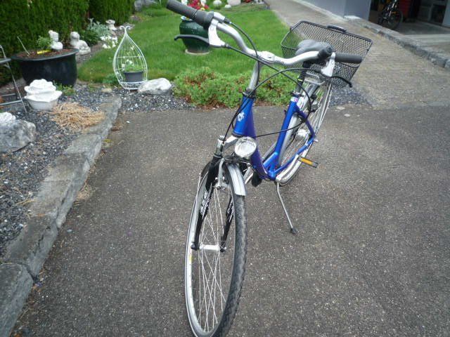 Cresta Biciclette: Damenvelo Cresta – Usato da utzenstorf venduto da Volvosports 1