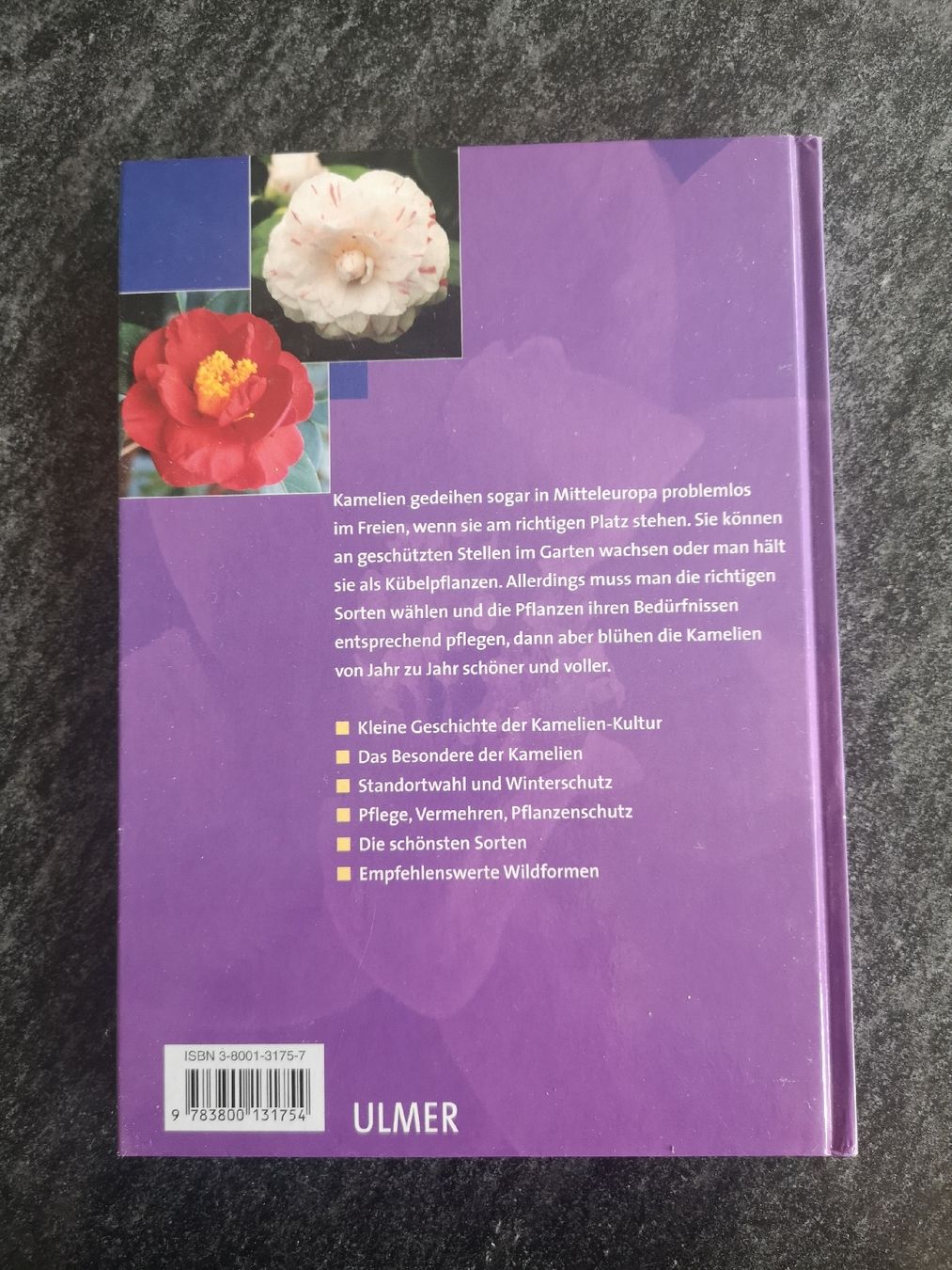 Libri: Kamelien Buch – Usato da Biel/Bienne venduto da Rosen21 1