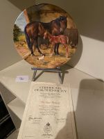 Royal Worcester Sammelteller "The New Arrival" Top!