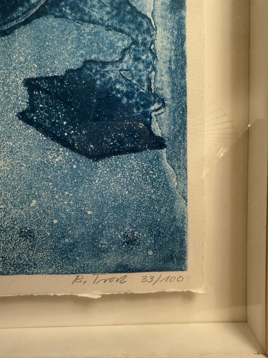 Dipinti: B. Trost Framed Etching 33/100 Ducks – Usato da Zürich venduto da floridiablanca 1