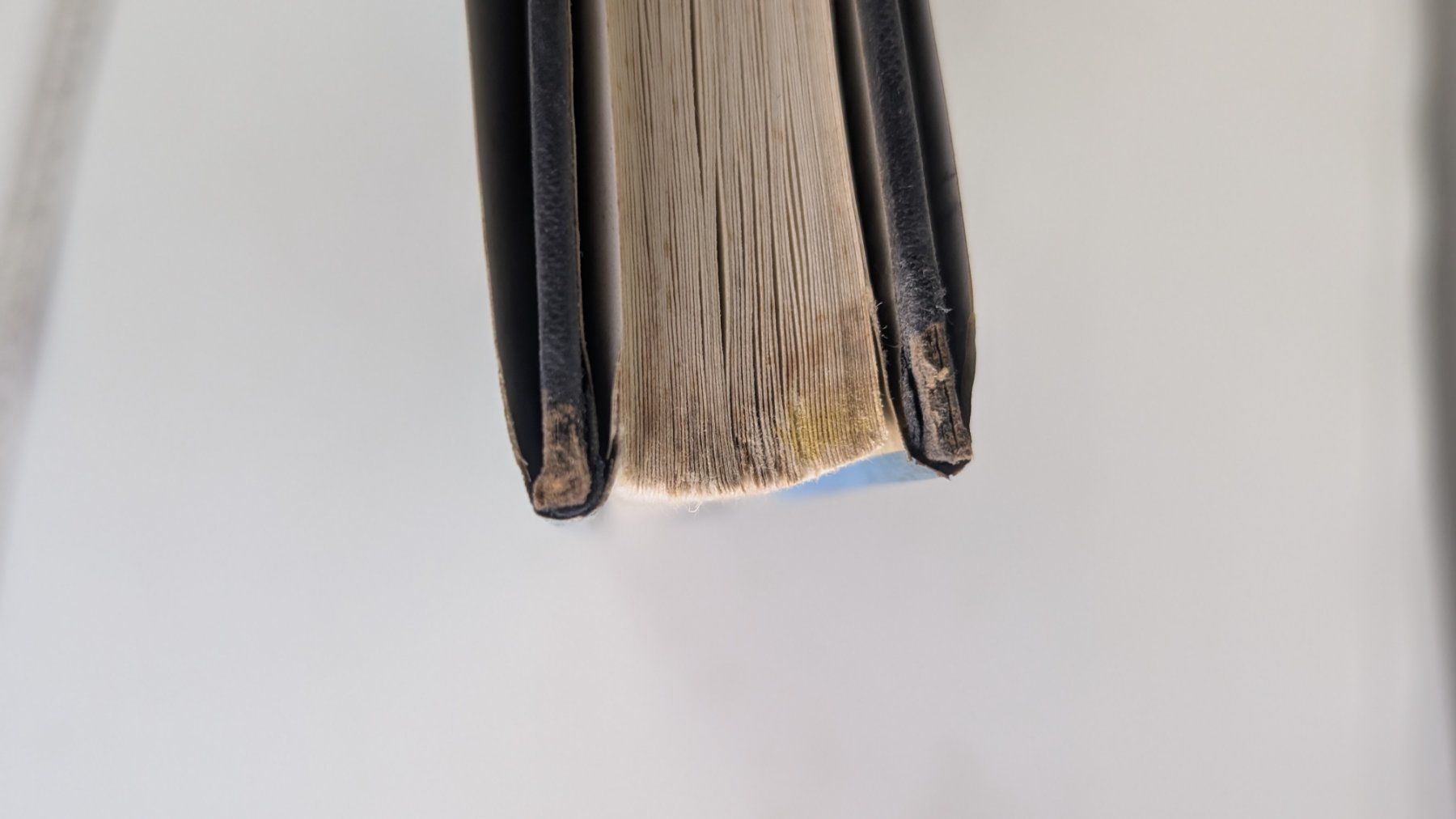Libri: Nepal Bildband, Silva 1966 – Usato da Zürich venduto da axolottchen 9