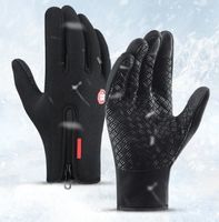 Handschuhe Vollfinger (L)