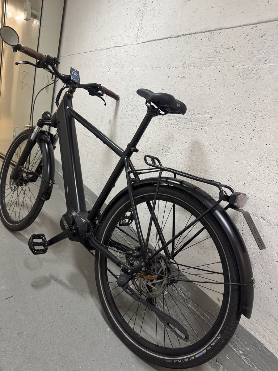 Biciclette: E- Bike Ego Movement – Usato da Wil SG venduto da andi_aliaj 3