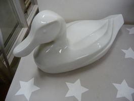 Ente Harvey Knox Japan