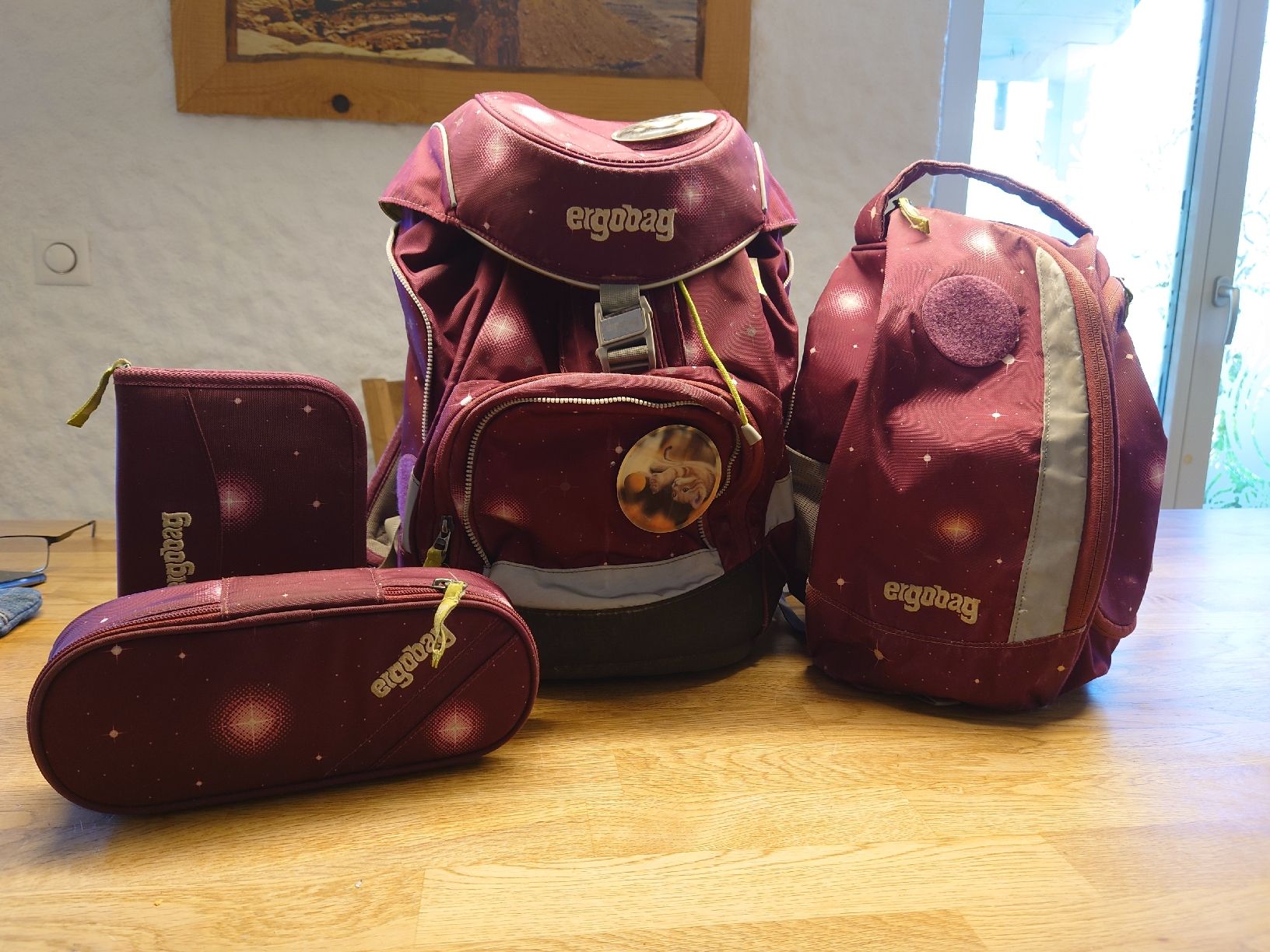 Ergobag Borse & Zaini: Schulrucksack Ergobag mit Turnsack und 2 Etuis – Usato da Wittenbach venduto da Maxder