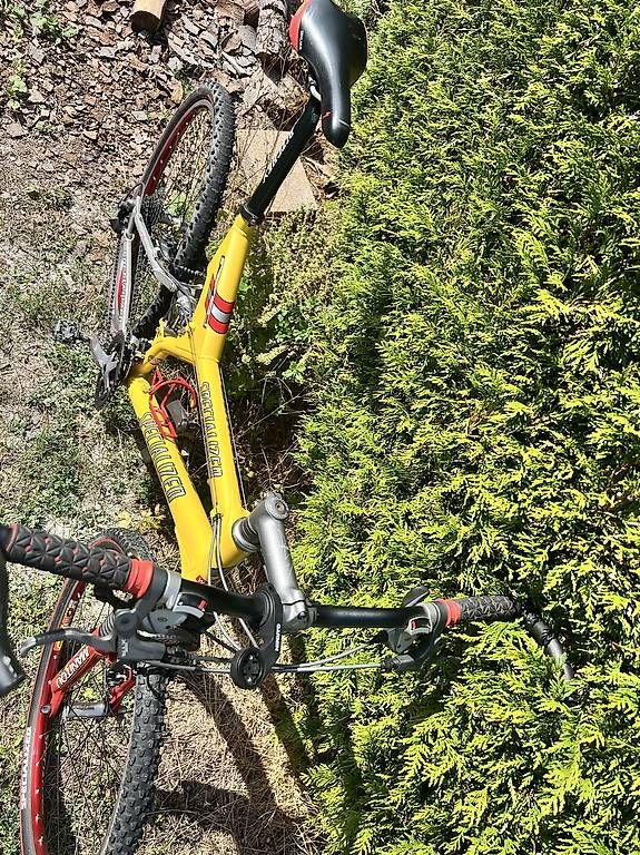 Biciclette: Collector haut de gamme – Usato da Vufflens-la-Ville venduto da Mikal 2