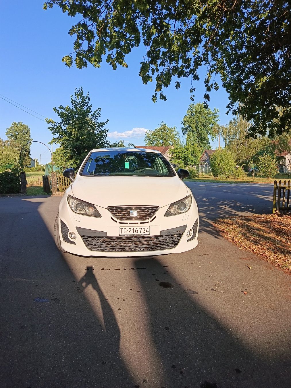 Seat Automobili: Seat Ibiza Cupra – Usato da Egnach venduto da madmax015