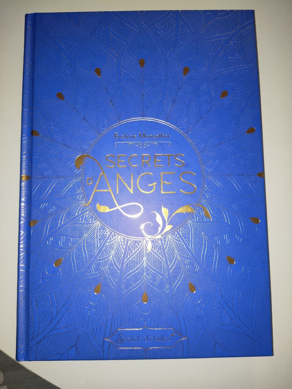 Bücher: 2 livres sur les anges, neuf – Neu (gemäss Beschreibung) aus Lausanne von Cassandra11