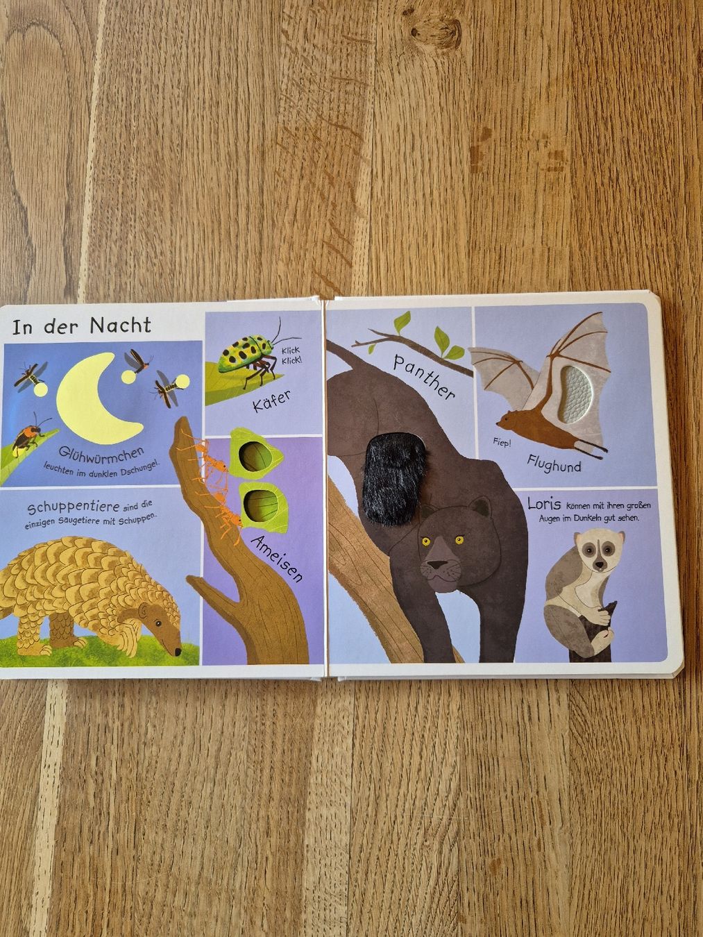 Libri: Bilderbuch Kinder – Usato da Valens venduto da Limaj 3