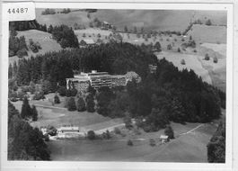 Flugaufnahme Wald ZH Faltigberg - Photo: 90x125mm