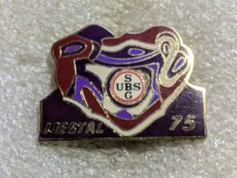 Ansteckpin 182: SBG UBS Liestal