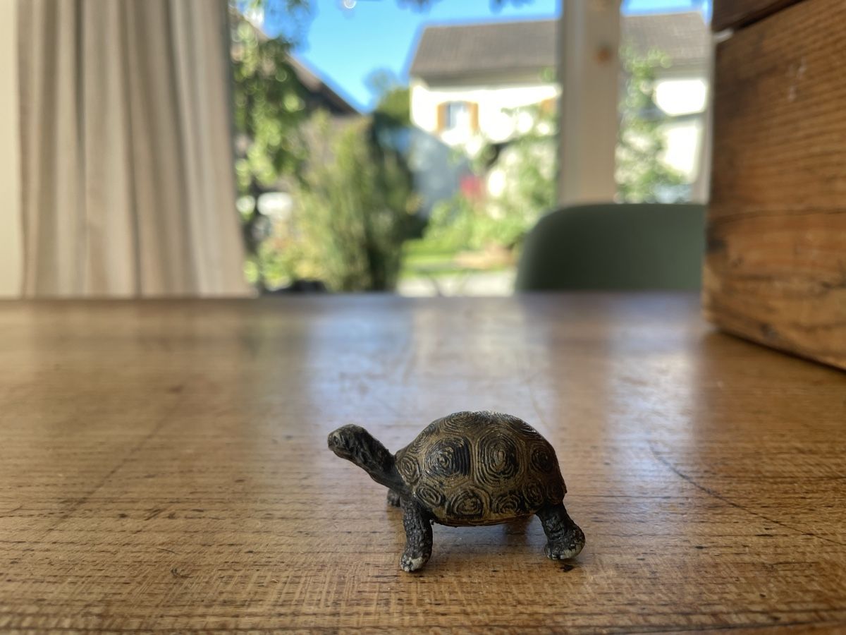 Schleich Giocattoli: Schleich Schildkröte – Usato da Bonstetten venduto da soleillle 2