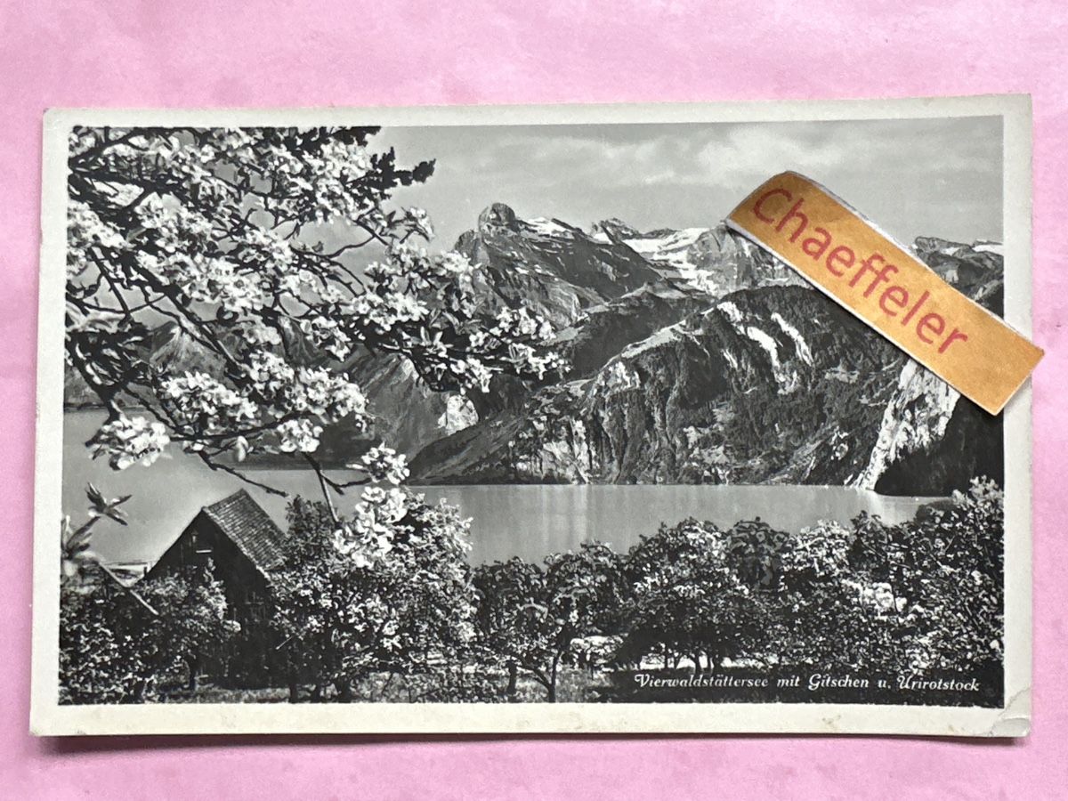 Cartes postales: Vierwaldstättersee mit Gitschen und Uristock – D'occasion à Zürich par Chaeffeler