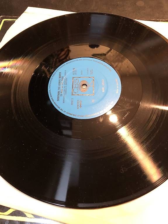 Dischi in vinile: Kazdin/shepard. moog  – Usato da Grangettes-Romont venduto da Guillaumegrangettes 3