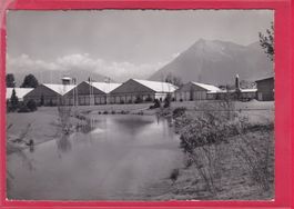 KANT. BERNISCHE AUSSTELLUNG THUN 1949, 20.9.1949