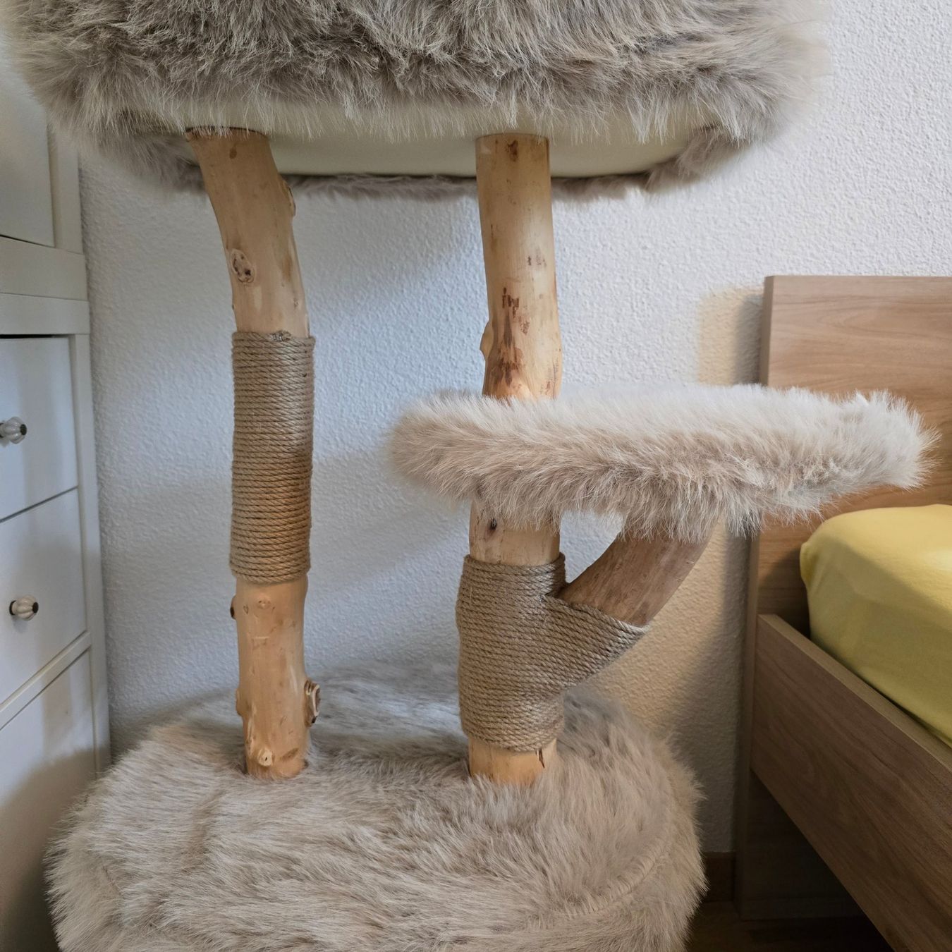 Katzenbaum - Kratzbaum: Kratzbaum Wiltec Forest Tree – Neu (gemäss Beschreibung) aus Zürich von amysmith 2