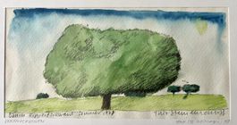 Tino Steinemann ORIGINAL AQUARELL "Baum Rippertschwand" Bild