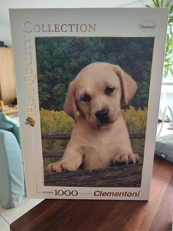 Puzzles: 1000er Teile Puzzle mit Labradormotiv – Gebraucht aus Lausen von Swiss4444