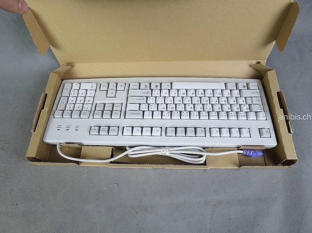Tastiere: Cherry RS 6000 M, PS2 – Usato da Zürich venduto da 1.Simon