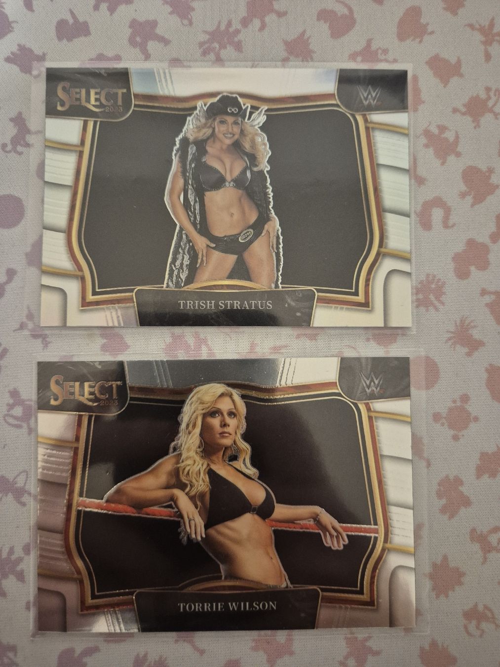 Panini Carte collezionabili: Wwe Silver Ringside Cards Select 2023 – Nuovo (secondo la descrizione) da Wetzikon ZH venduto da jas_c5d8